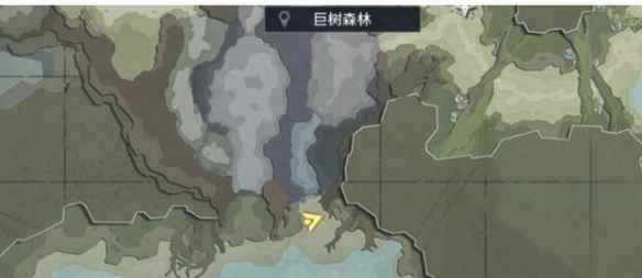 网5