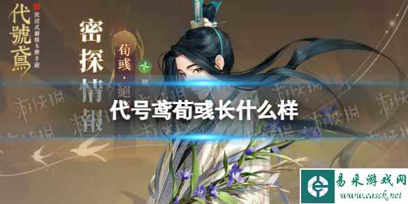 网1