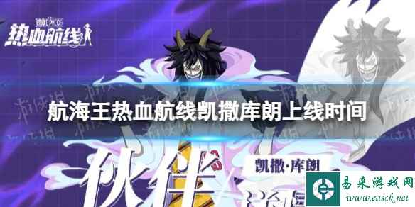 网1