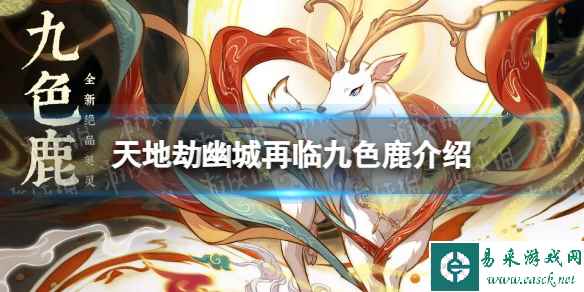 网1