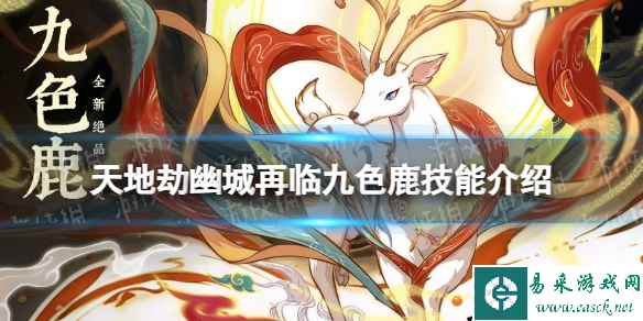 网1
