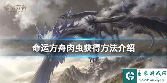 《命运方舟》肉虫怎么获得？肉虫获得方法介绍