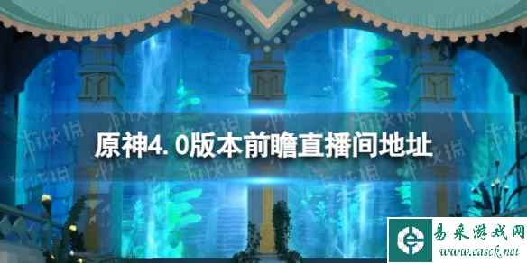 网1