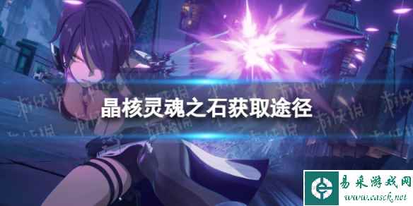网1