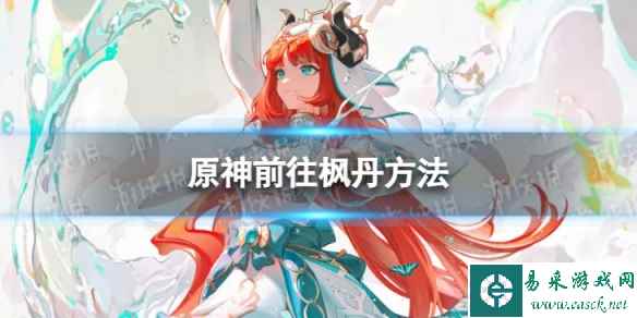 网1