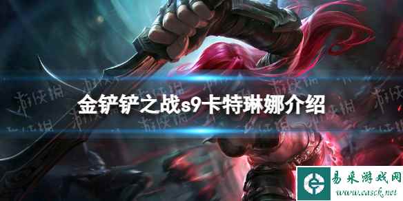 网1