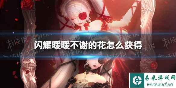 网1