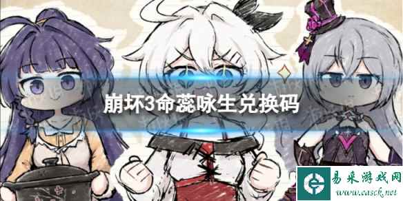 网1