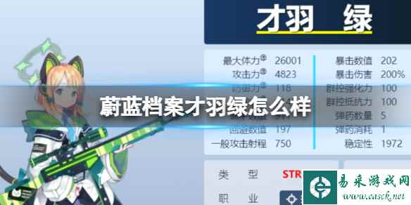 网1