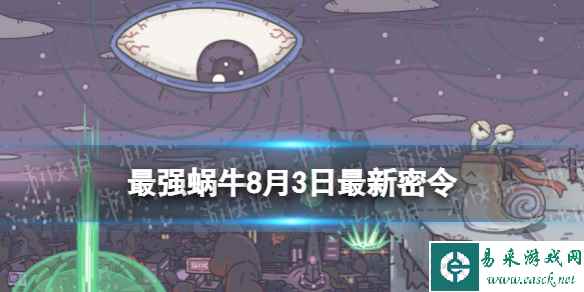 网1