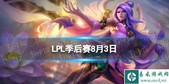 网1