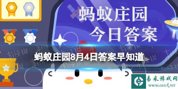 网1