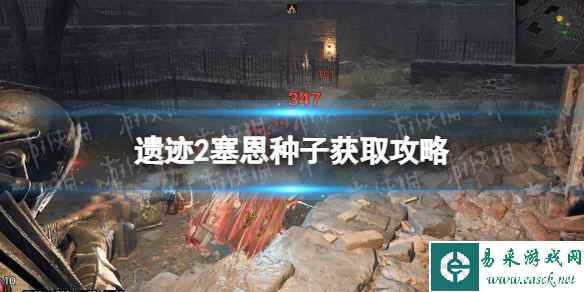 《遗迹2》塞恩种子在哪？ 塞恩种子获取攻略