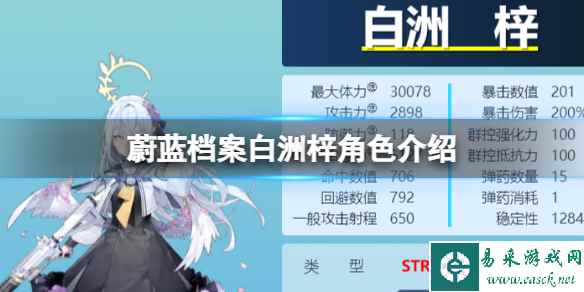 网1