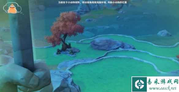 《原神》3.8传心同视第三天动物位置分布 传心同视第三天动物在哪？