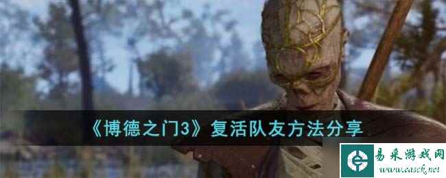 博德之门3怎么复活队友-复活队友方法分享