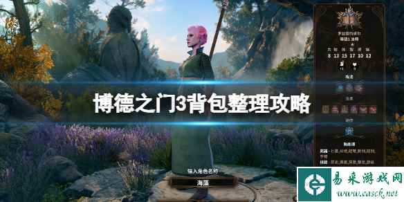 《博德之门3》背包整理攻略 背包物品怎么管理？