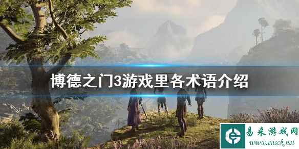 《博德之门3》游戏里各术语介绍     有哪些术语？