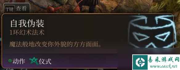 博德之门3游荡者副职业有哪些