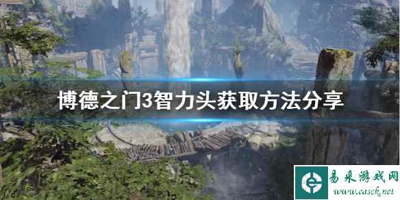 《博德之门3》智力头获取方法分享     智力头在哪获得？