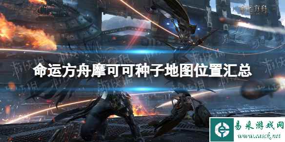 《命运方舟》摩可可种子地图位置汇总 摩可可种子全收集攻略