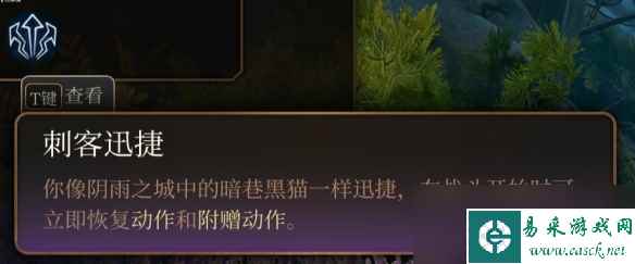 博德之门3游荡者副职业有哪些