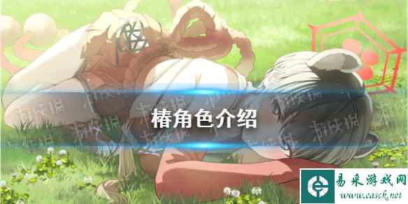 网1