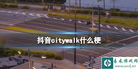 网1