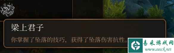 《博德之门3》游荡者副职业一览