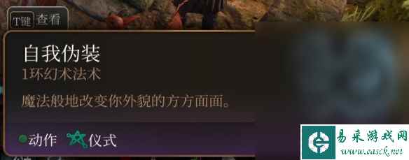 《博德之门3》游荡者副职业一览