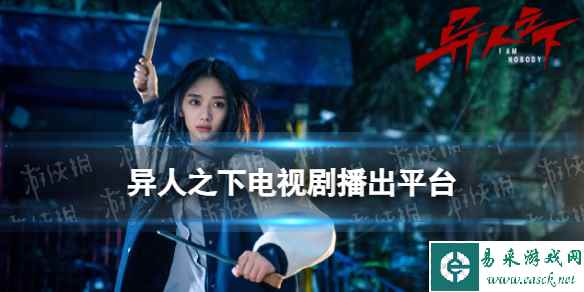 网1