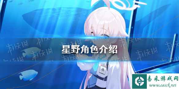 网1