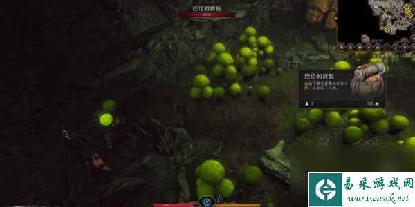 博德之门3狩猎蘑菇猎人怎么做