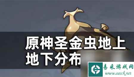 原神圣金虫分布图一览-圣金虫位置分享