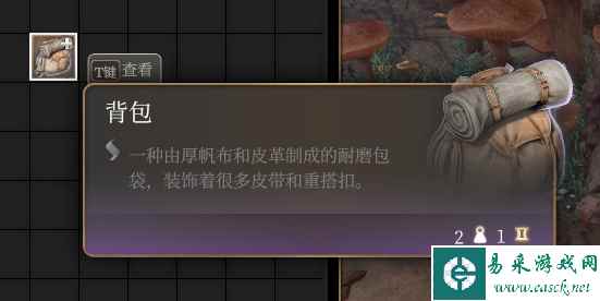 博德之门3怎么整理背包 背包整理攻略