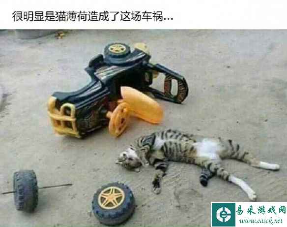 兄弟你洗手了吗？ 囧图 大概是还在贤者时间里面吧