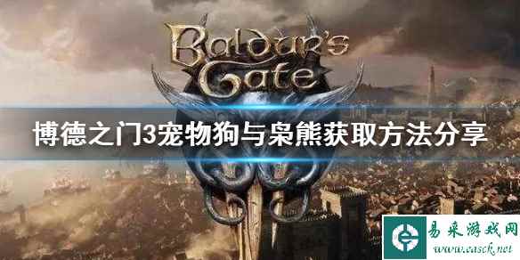 《博德之门3》宠物狗与枭熊获取方法分享    宠物怎么获得？