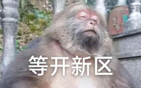 猴哥成佛造福人间?梦幻西游8月新区——【斗战神佛】即将震撼开启!