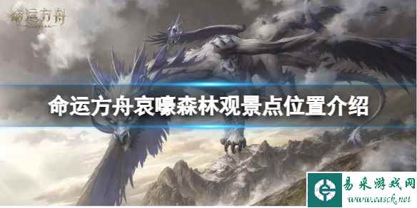 《命运方舟》哀嚎森林观景点在哪？哀嚎森林观景点位置介绍