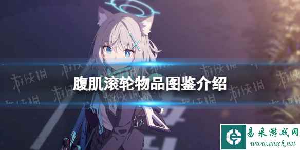 网1