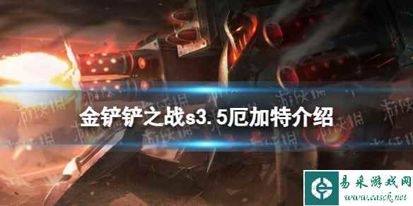网1