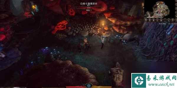 博德之门3狩猎蘑菇猎人怎么做