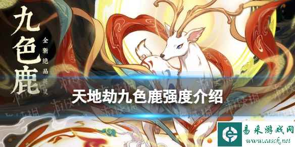 网1