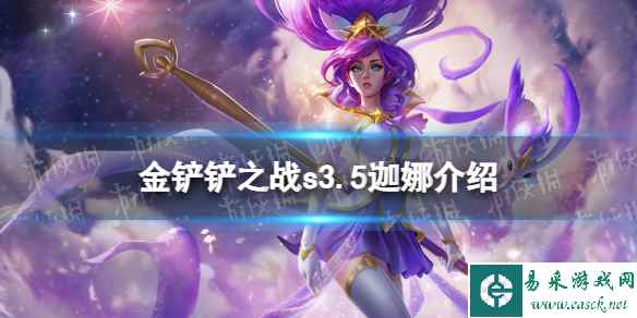 网1