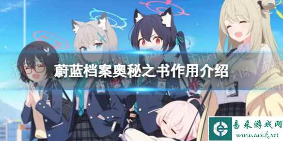 网1