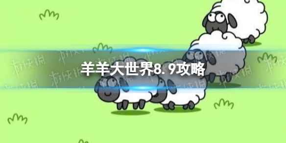 网1
