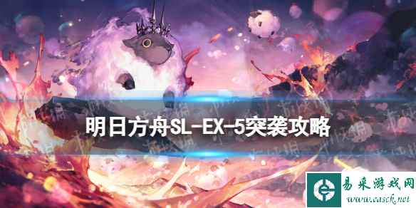 网1