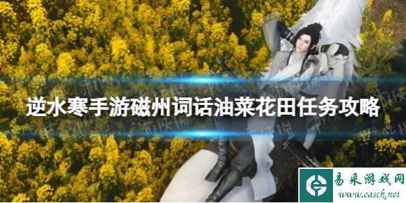 网1