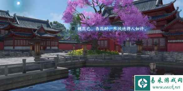 网5