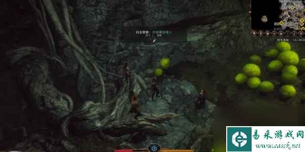 博德之门3狩猎蘑菇猎人怎么做